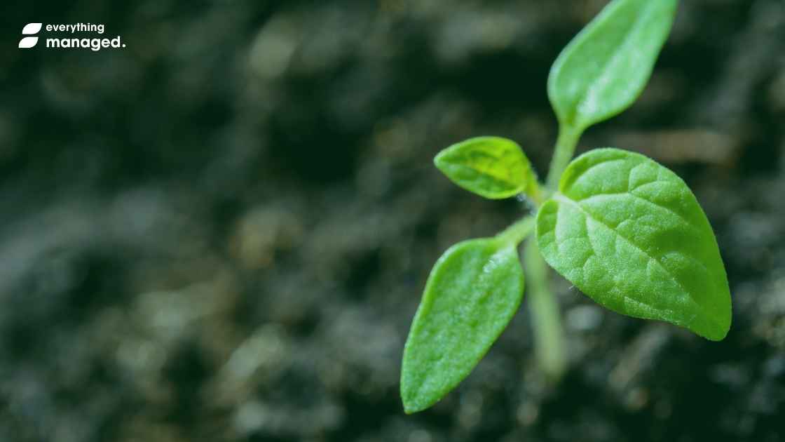 sustainability